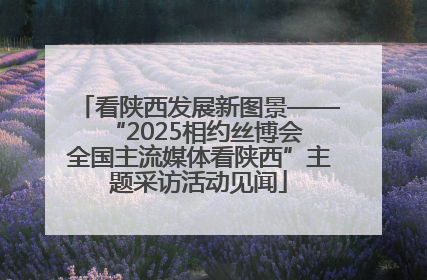 看陕西发展新图景——“2025相约丝博会 全国主流媒体看陕西”主题采访活动见闻