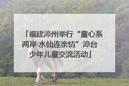 福建漳州举行“童心系两岸·水仙连亲情”漳台少年儿童交流活动