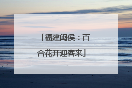 福建闽侯：百合花开迎客来