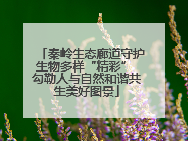 秦岭生态廊道守护生物多样“精彩” 勾勒人与自然和谐共生美好图景