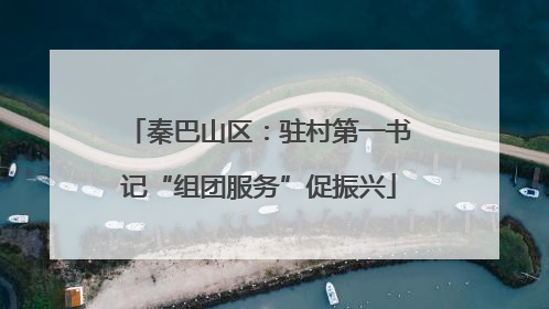 秦巴山区：驻村第一书记“组团服务”促振兴