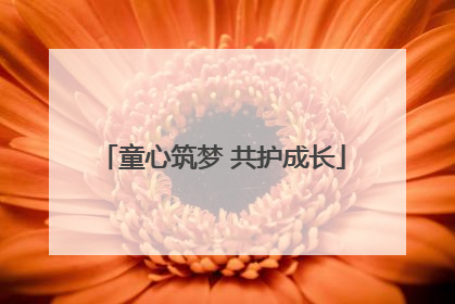 童心筑梦 共护成长