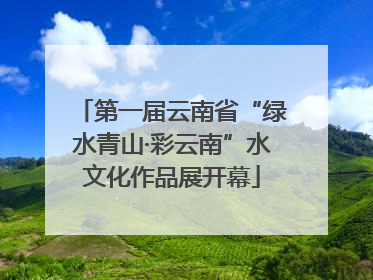 第一届云南省“绿水青山·彩云南”水文化作品展开幕