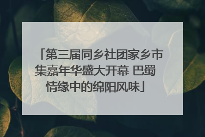 第三届同乡社团家乡市集嘉年华盛大开幕 巴蜀情缘中的绵阳风味