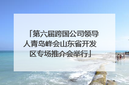 第六届跨国公司领导人青岛峰会山东省开发区专场推介会举行