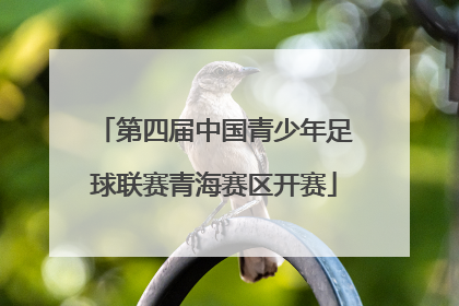 第四届中国青少年足球联赛青海赛区开赛