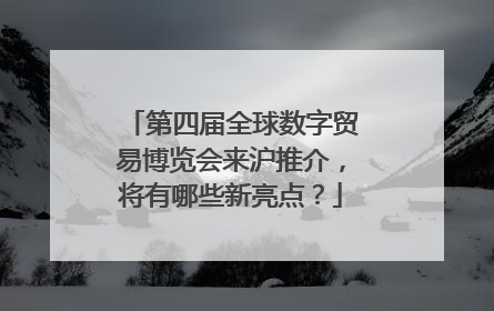 第四届全球数字贸易博览会来沪推介，将有哪些新亮点？