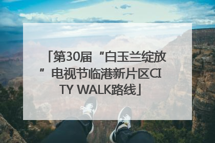 第30届“白玉兰绽放”电视节临港新片区CITY WALK路线