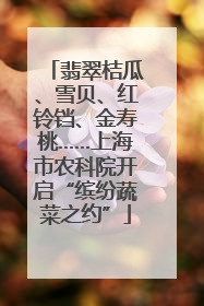 翡翠桔瓜、雪贝、红铃铛、金寿桃……上海市农科院开启“缤纷蔬菜之约”