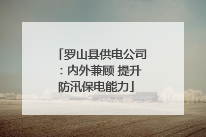 罗山县供电公司：内外兼顾 提升防汛保电能力