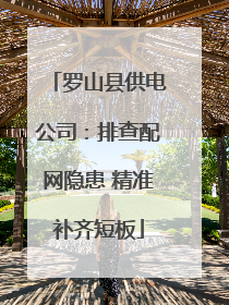 罗山县供电公司：排查配网隐患 精准补齐短板