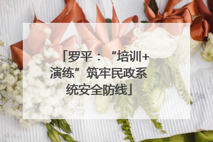 罗平：“培训+演练”筑牢民政系统安全防线