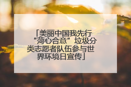 美丽中国我先行 “菏心合意”垃圾分类志愿者队伍参与世界环境日宣传