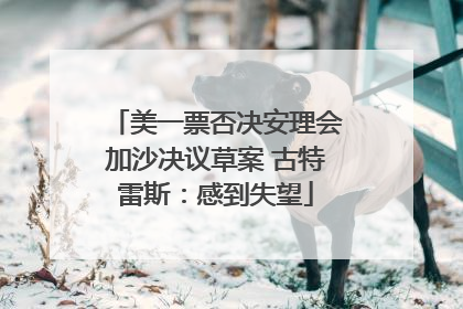 美一票否决安理会加沙决议草案 古特雷斯：感到失望