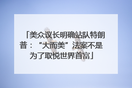 美众议长明确站队特朗普：“大而美”法案不是为了取悦世界首富