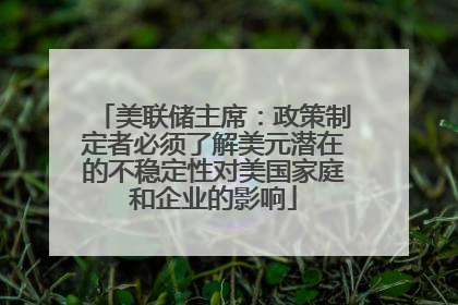 美联储主席：政策制定者必须了解美元潜在的不稳定性对美国家庭和企业的影响