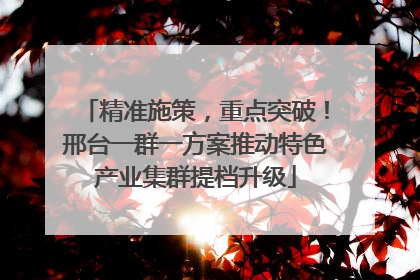 精准施策，重点突破！邢台一群一方案推动特色产业集群提档升级
