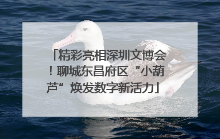 精彩亮相深圳文博会！聊城东昌府区“小葫芦”焕发数字新活力