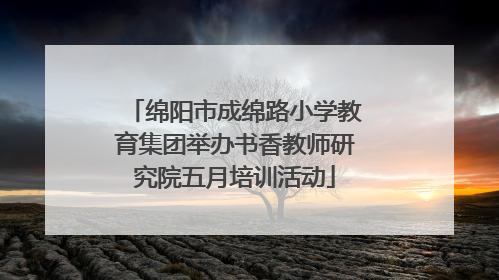 绵阳市成绵路小学教育集团举办书香教师研究院五月培训活动