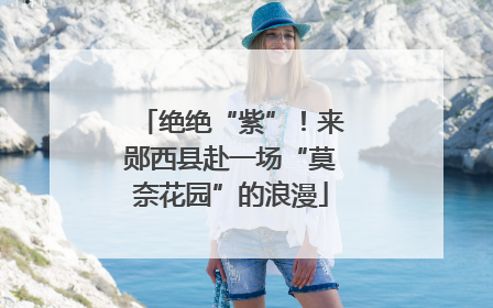 绝绝“紫”！来郧西县赴一场“莫奈花园”的浪漫