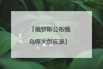 俄罗斯公布俄乌停火备忘录