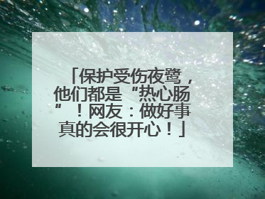 保护受伤夜鹭，他们都是“热心肠”！网友：做好事真的会很开心！