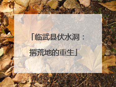 临武县伏水洞：撂荒地的重生