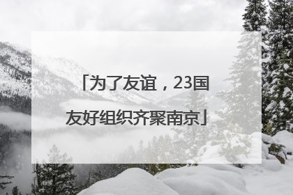 为了友谊，23国友好组织齐聚南京