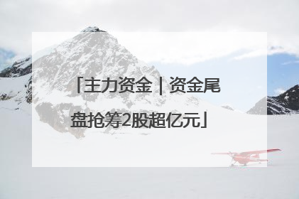 主力资金｜资金尾盘抢筹2股超亿元