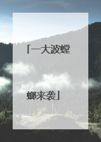 一大波螳螂来袭