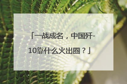 一战成名，中国歼-10靠什么火出圈？