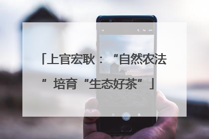 上官宏耿：“自然农法”培育“生态好茶”