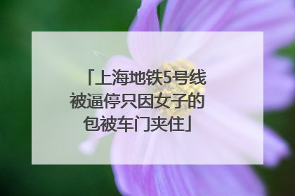 上海地铁5号线被逼停只因女子的包被车门夹住