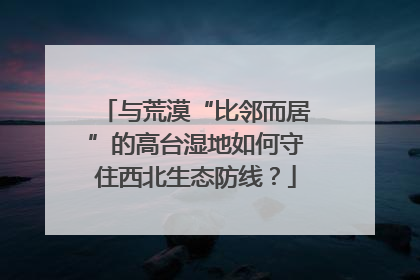 与荒漠“比邻而居”的高台湿地如何守住西北生态防线？