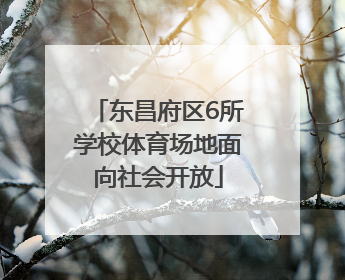 东昌府区6所学校体育场地面向社会开放