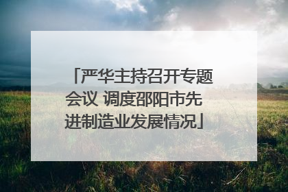 严华主持召开专题会议 调度邵阳市先进制造业发展情况