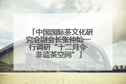 中国国际茶文化研究会副会长张仲灿一行调研“十二月令·非遗茶空间”