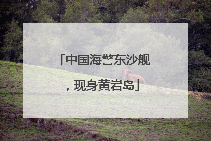 中国海警东沙舰，现身黄岩岛