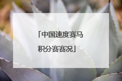 中国速度赛马积分赛赛况