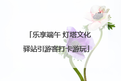 乐享端午 灯塔文化驿站引游客打卡游玩