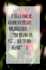 乐山城北幼教育集团桃源园区：“聚焦前书写，科学助衔接”