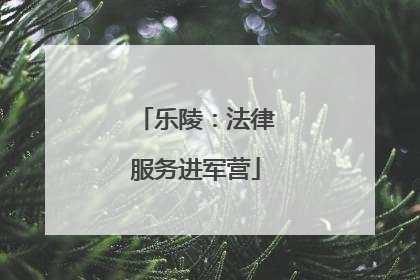乐陵：法律服务进军营