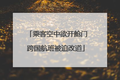 乘客空中欲开舱门 跨国航班被迫改道
