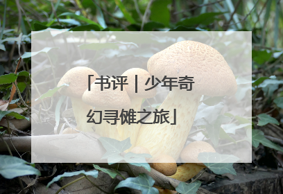 书评｜少年奇幻寻傩之旅