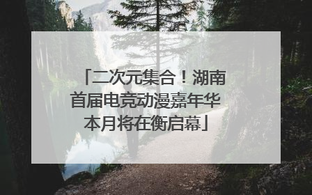 二次元集合！湖南首届电竞动漫嘉年华本月将在衡启幕