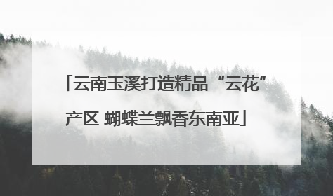 云南玉溪打造精品“云花”产区 蝴蝶兰飘香东南亚