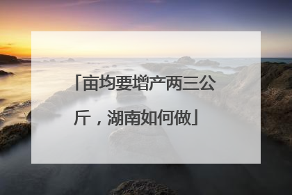 亩均要增产两三公斤，湖南如何做