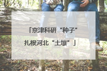 京津科研“种子”扎根河北“土壤”