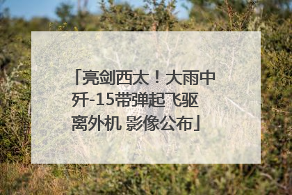 亮剑西太！大雨中歼-15带弹起飞驱离外机 影像公布