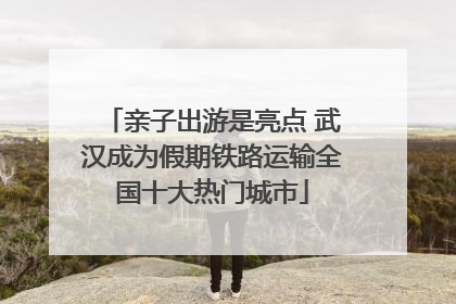 亲子出游是亮点 武汉成为假期铁路运输全国十大热门城市